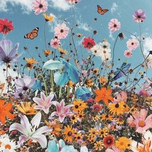 Meet your Posher, Gianna